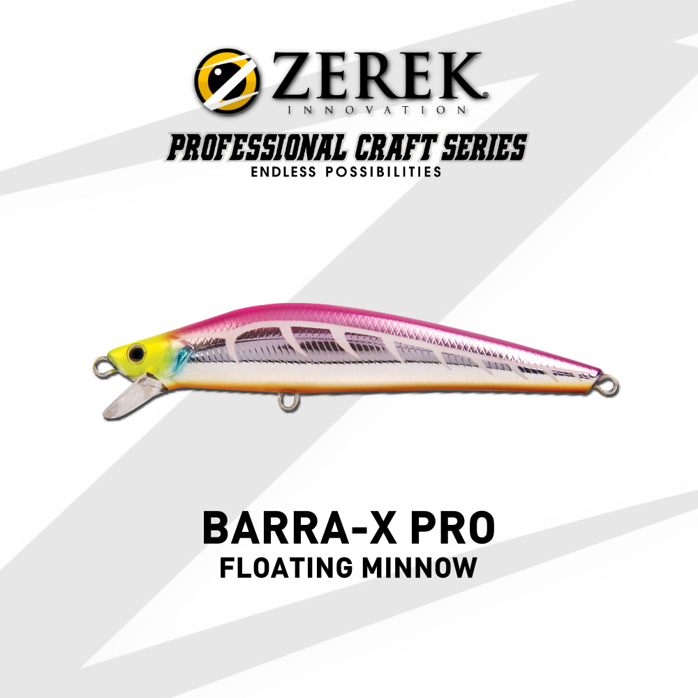 Zerek Rice Products – Zerek Innovation